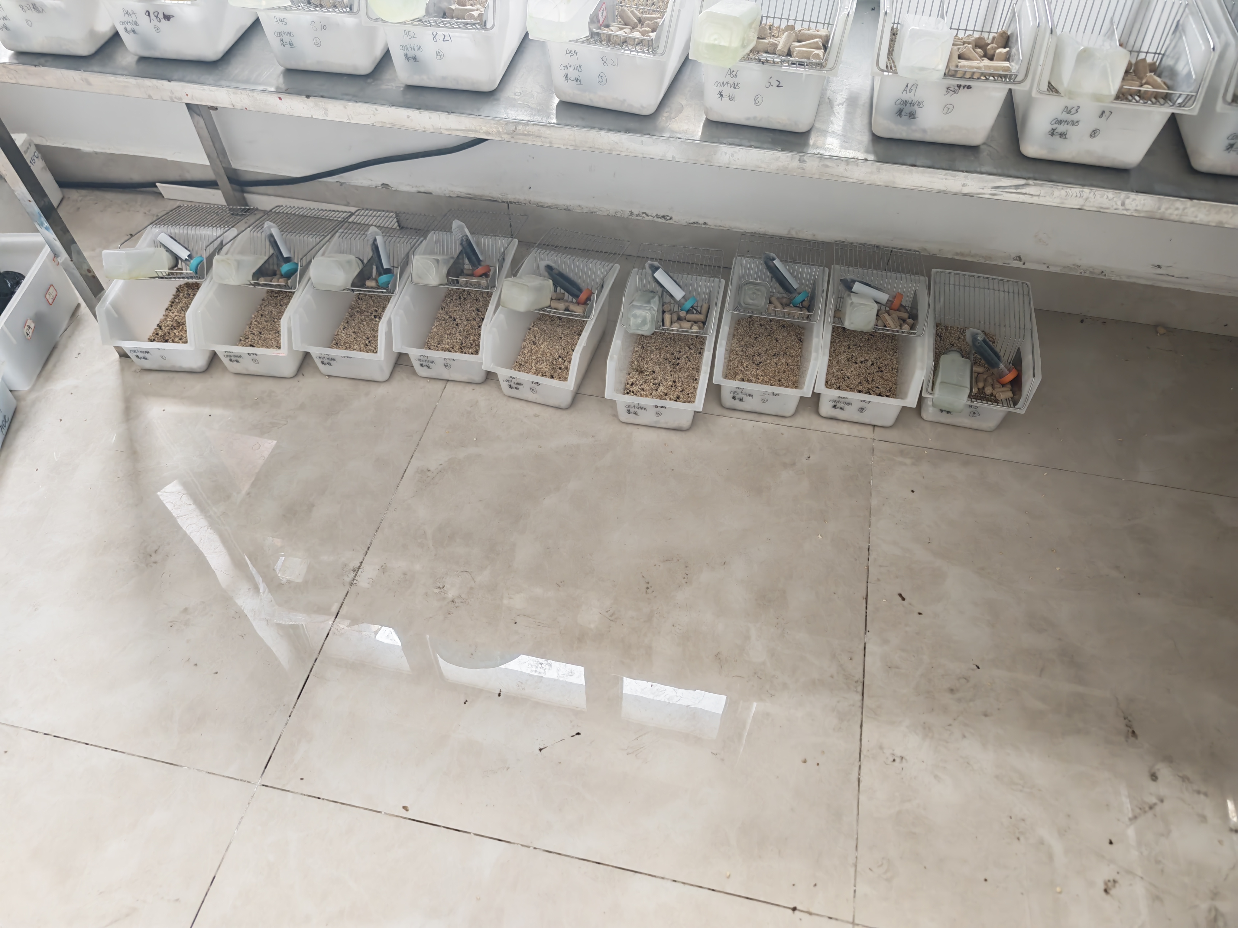 图1:第3组CRS束缚全景